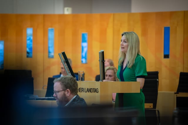 Die AfD will die Gewaltenteilung aufbrechen